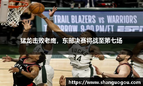 猛龙击败老鹰，东部决赛将战至第七场