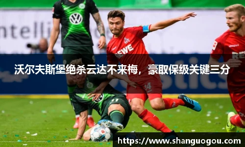 沃尔夫斯堡绝杀云达不来梅，豪取保级关键三分