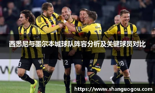 西悉尼与墨尔本城球队阵容分析及关键球员对比